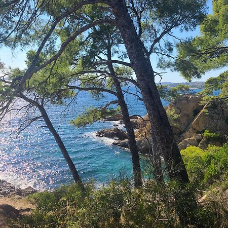 Evasion Nature A Cap Esterel Jardin, Mer & Golf Tout Confort Saint-Raphaël 외부 사진