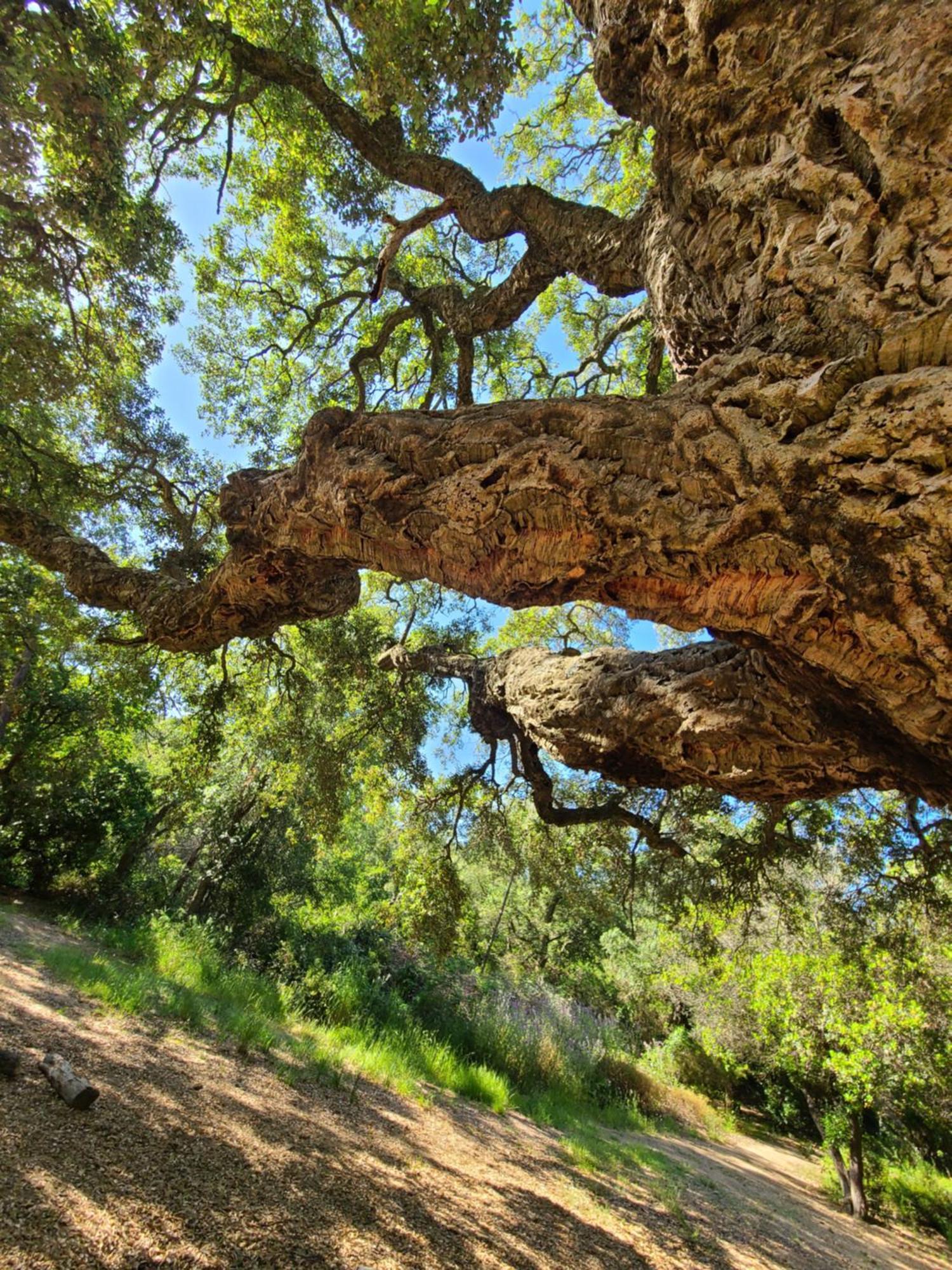 Evasion Nature A Cap Esterel Jardin, Mer & Golf Tout Confort Saint-Raphaël 외부 사진